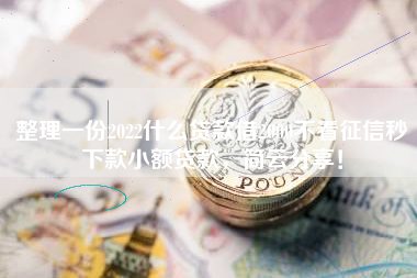 整理一份2022什么贷款借2000不看征信秒下款小额贷款，简云分享！