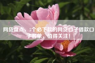网贷盘点，5个必下款的网贷口子借款口子名单，值得关注！