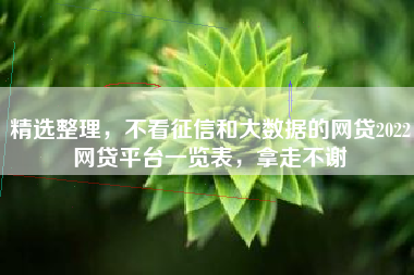 精选整理，不看征信和大数据的网贷2022网贷平台一览表，拿走不谢