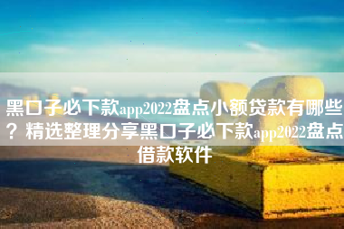 黑口子必下款app2022盘点小额贷款有哪些？精选整理分享黑口子必下款app2022盘点借款软件
