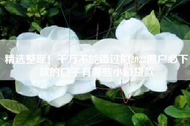 精选整理！千万不能错过的2022黑户必下款的口子有哪些小额贷款