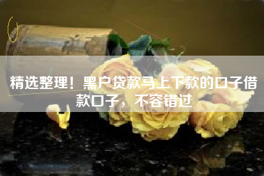 精选整理！黑户贷款马上下款的口子借款口子，不容错过