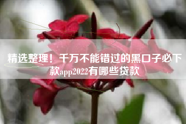 精选整理！千万不能错过的黑口子必下款app2022有哪些贷款