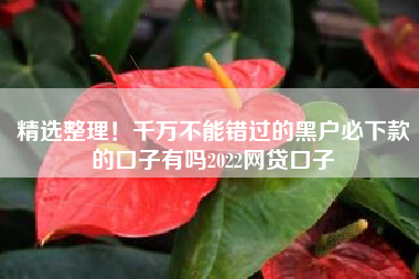 精选整理！千万不能错过的黑户必下款的口子有吗2022网贷口子