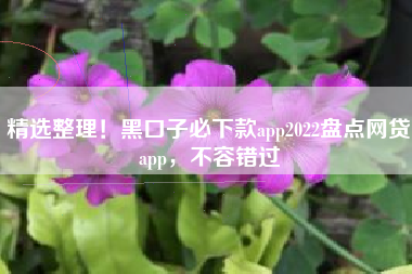 精选整理！黑口子必下款app2022盘点网贷app，不容错过