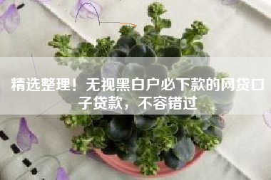 精选整理！无视黑白户必下款的网贷口子贷款，不容错过