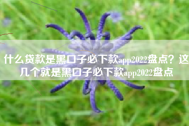 什么贷款是黑口子必下款app2022盘点？这几个就是黑口子必下款app2022盘点