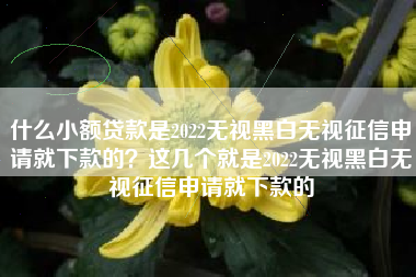 什么小额贷款是2022无视黑白无视征信申请就下款的？这几个就是2022无视黑白无视征信申请就下款的