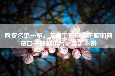 网贷名单一览，无视黑白户必下款的网贷口子贷款平台，拿走不谢