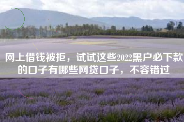 网上借钱被拒，试试这些2022黑户必下款的口子有哪些网贷口子，不容错过