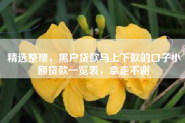 精选整理，黑户贷款马上下款的口子小额贷款一览表，拿走不谢