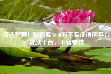 精选整理！能借款5000的不看征信的平台贷款平台，不容错过