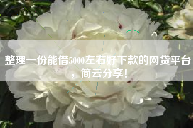 整理一份能借5000左右好下款的网贷平台，简云分享！