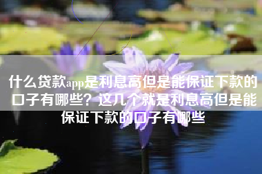 什么贷款app是利息高但是能保证下款的口子有哪些？这几个就是利息高但是能保证下款的口子有哪些