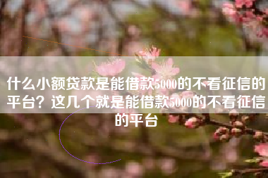 什么小额贷款是能借款5000的不看征信的平台？这几个就是能借款5000的不看征信的平台