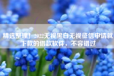 精选整理！2022无视黑白无视征信申请就下款的借款软件，不容错过