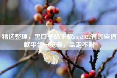精选整理，黑口子必下款app2022有哪些借款平台一览表，拿走不谢