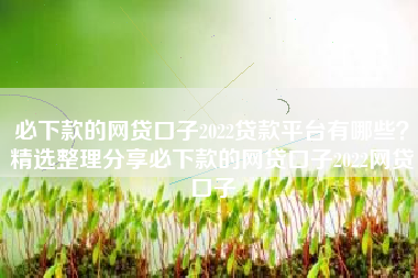 必下款的网贷口子2022贷款平台有哪些？精选整理分享必下款的网贷口子2022网贷口子