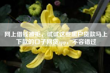 网上借钱被拒，试试这些黑户贷款马上下款的口子网贷app，不容错过