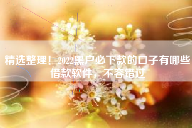 精选整理！2022黑户必下款的口子有哪些借款软件，不容错过