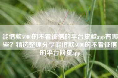 能借款5000的不看征信的平台贷款app有哪些？精选整理分享能借款5000的不看征信的平台网贷app