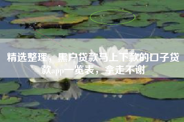 精选整理，黑户贷款马上下款的口子贷款app一览表，拿走不谢