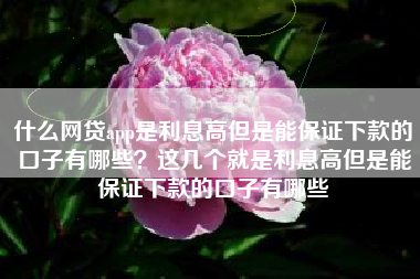 什么网贷app是利息高但是能保证下款的口子有哪些？这几个就是利息高但是能保证下款的口子有哪些