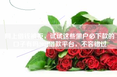 网上借钱被拒，试试这些黑户必下款的口子有吗2022借款平台，不容错过