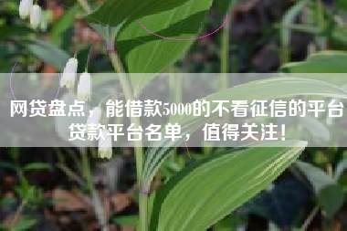 网贷盘点，能借款5000的不看征信的平台贷款平台名单，值得关注！