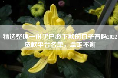 精选整理一份黑户必下款的口子有吗2022贷款平台名单，拿走不谢