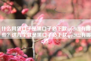 什么网贷口子是黑口子必下款app2022有哪些？这几个就是黑口子必下款app2022有哪些