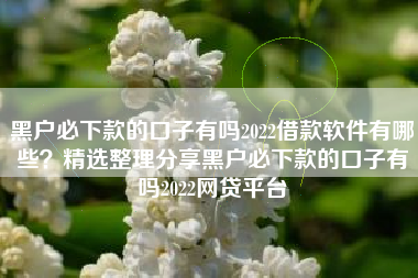 黑户必下款的口子有吗2022借款软件有哪些？精选整理分享黑户必下款的口子有吗2022网贷平台