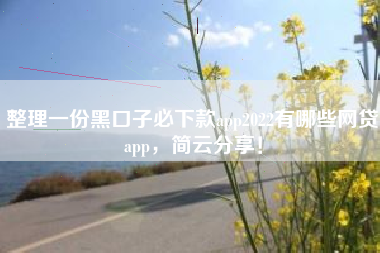 整理一份黑口子必下款app2022有哪些网贷app，简云分享！