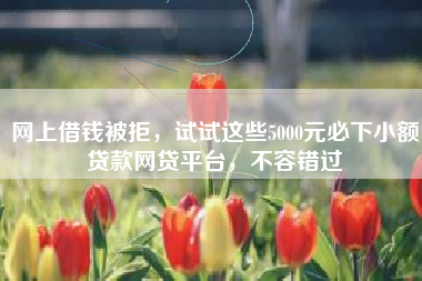 网上借钱被拒，试试这些5000元必下小额贷款网贷平台，不容错过