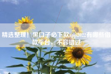 精选整理！黑口子必下款app2022有哪些借款平台，不容错过