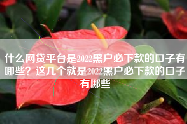 什么网贷平台是2022黑户必下款的口子有哪些？这几个就是2022黑户必下款的口子有哪些