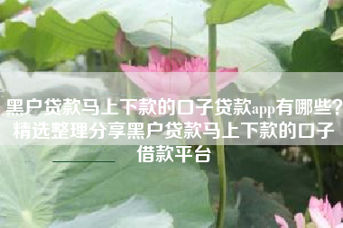 黑户贷款马上下款的口子贷款app有哪些？精选整理分享黑户贷款马上下款的口子借款平台