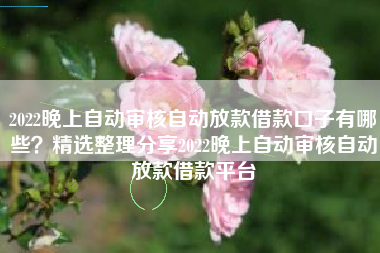 2022晚上自动审核自动放款借款口子有哪些？精选整理分享2022晚上自动审核自动放款借款平台