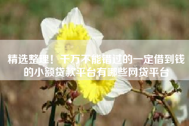 精选整理！千万不能错过的一定借到钱的小额贷款平台有哪些网贷平台