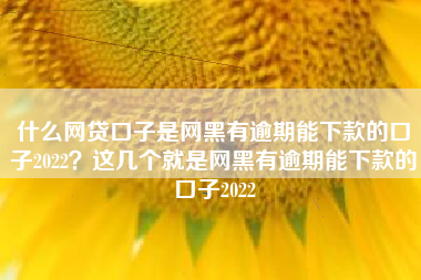 什么网贷口子是网黑有逾期能下款的口子2022？这几个就是网黑有逾期能下款的口子2022