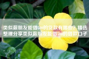 类似薪朋友能借500的贷款有哪些？精选整理分享类似薪朋友能借500的借款口子