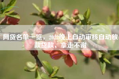 网贷名单一览，2022晚上自动审核自动放款贷款，拿走不谢