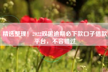 精选整理！2022双黑逾期必下款口子借款平台，不容错过