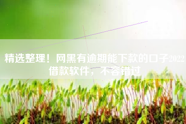精选整理！网黑有逾期能下款的口子2022借款软件，不容错过