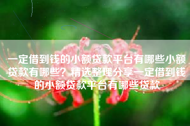 一定借到钱的小额贷款平台有哪些小额贷款有哪些？精选整理分享一定借到钱的小额贷款平台有哪些贷款