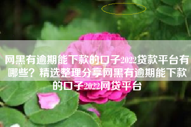 网黑有逾期能下款的口子2022贷款平台有哪些？精选整理分享网黑有逾期能下款的口子2022网贷平台