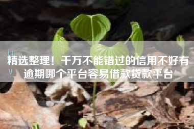 精选整理！千万不能错过的信用不好有逾期哪个平台容易借款贷款平台