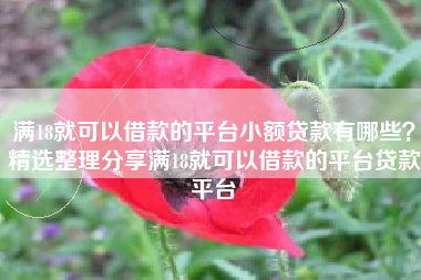 满18就可以借款的平台小额贷款有哪些？精选整理分享满18就可以借款的平台贷款平台