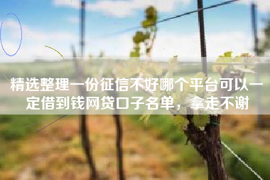 精选整理一份征信不好哪个平台可以一定借到钱网贷口子名单，拿走不谢