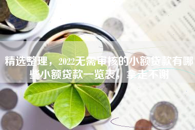 精选整理，2022无需审核的小额贷款有哪些小额贷款一览表，拿走不谢